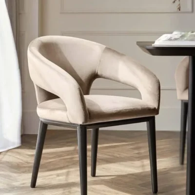 Premium Wooden Dining & Restaurant Chairs FF-C0011